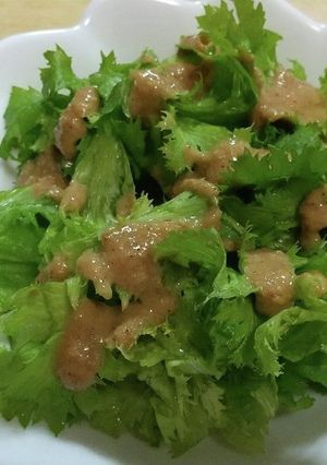 わさび菜サラダ＆ごま味噌ドレッシング-レシピのメイン写真