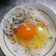 美味!牡蠣醤油でしらす卵かけご飯〜♪♪♪