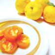 干し柿と柚子のフローズンスイーツ