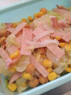 白菜サラダ-レシピのメイン写真