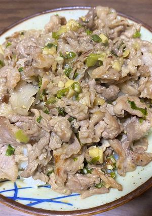 にんにくたっぷり！ねぎ塩豚丼-レシピのメイン写真