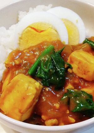 豆腐とほうれん草のカレー-レシピのメイン写真