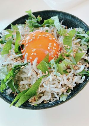 しらすご飯-レシピのメイン写真
