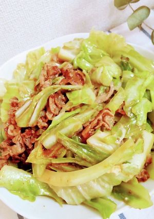 たっぷりキャベツと豚肉のマヨソース炒め-レシピのメイン写真