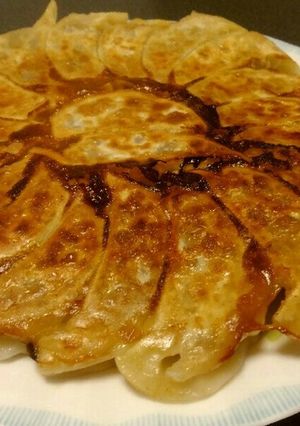 目分量かんたん餃子-レシピのメイン写真