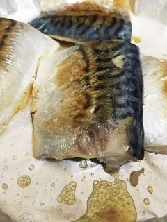 鯖の塩焼き-レシピのメイン写真