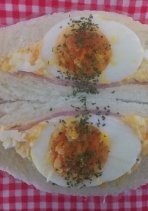 ☆わっぱ弁当生活301-レシピのメイン写真