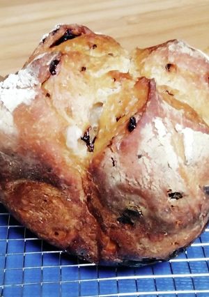 HB焼き天然酵母中種カンパーニュ風①メモ-レシピのメイン写真