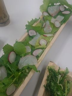 明石の食材でベビーリーフと白身魚のサラダ-レシピのメイン写真