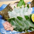 カワハギの活け造り
