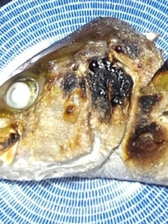 カンパチの頭とカマの塩焼き-レシピのメイン写真