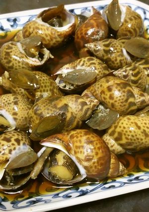 バイ貝の煮付け-レシピのメイン写真