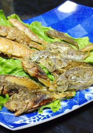 ヤセオコゼとオキヒイラギの唐揚げ-レシピのメイン写真