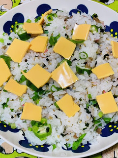梅ちりめんの混ぜご飯-レシピのメイン写真