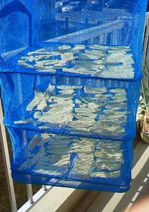 簡単干し芋-レシピのメイン写真