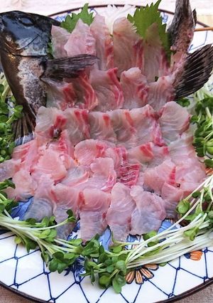 メジナの姿造り-レシピのメイン写真