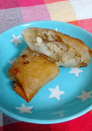 残り物春巻き-レシピのメイン写真