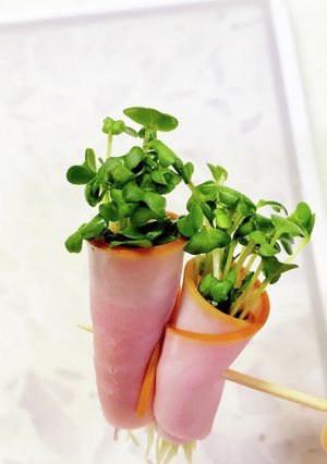 ブロッコリーの新芽ハム巻き-レシピのメイン写真