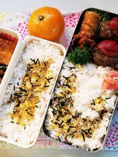 ハンバーグ弁当(12.13)-レシピのメイン写真
