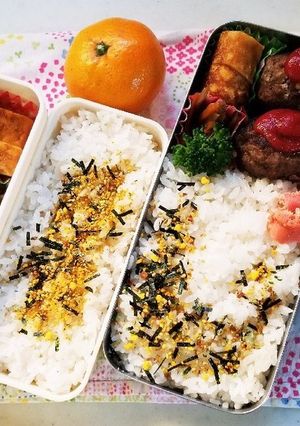 ハンバーグ弁当(12.13)-レシピのメイン写真