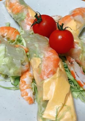 チーズと海老の生春巻き-レシピのメイン写真