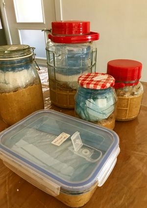 【覚書き】手作り味噌の作り方-レシピのメイン写真