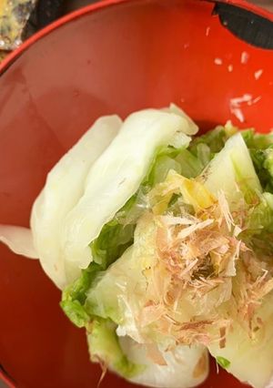 白菜大量消費　白菜のお漬もの-レシピのメイン写真