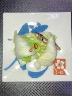 白菜の浅漬け-レシピのメイン写真