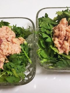 春菊(きくな)とツナのすこぶる簡単サラダ-レシピのメイン写真