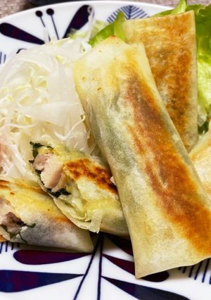 鶏とバジルシソチーズ春巻き-レシピのメイン写真