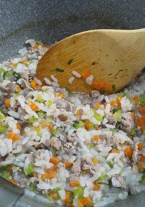 小型犬の牛肉雑炊-レシピのメイン写真