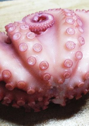 タコの下処理(スナダコ編)-レシピのメイン写真