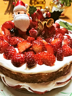 クリスマス!【ヨーグルトクリームケーキ】-レシピのメイン写真