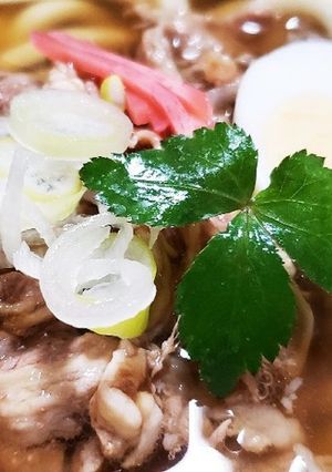 お年寄り絶賛シリーズ☆牛肉煮込みうどん☆-レシピのメイン写真