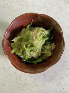 時短!白菜と水菜の胡麻和え-レシピのメイン写真