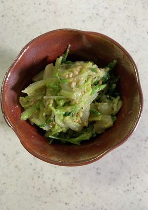 時短！白菜と水菜の胡麻和え-レシピのメイン写真
