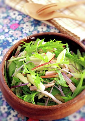 水菜とりんごの爽やかサラダ-レシピのメイン写真