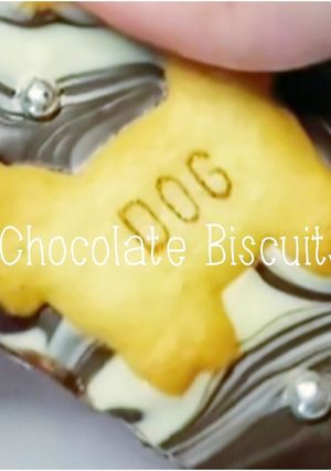 チョコビスケット-レシピのメイン写真