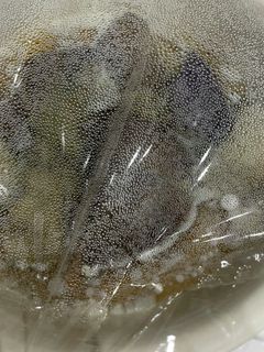なす煮浸し-レシピのメイン写真