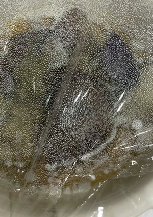 なす煮浸し-レシピのメイン写真