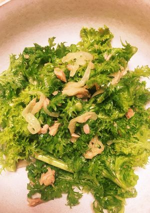 わさび菜とツナの簡単サラダ-レシピのメイン写真