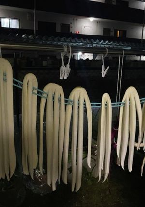 大根割り干し(いか干し)覚書-レシピのメイン写真