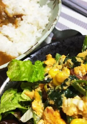 根菜カレーとほーれんそうの卵とじサラダ-レシピのメイン写真