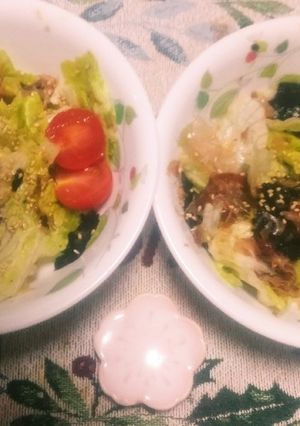 海苔と鰹節とレタスのサラダ-レシピのメイン写真