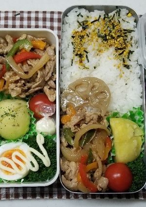 豚肉パプリカ炒め弁当(12.23)-レシピのメイン写真