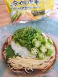 ベジタリアンおろし冷やし中華
