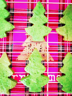 クリスマスツリークッキー-レシピのメイン写真