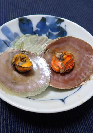電子レンジでナミマガシワの酒蒸し-レシピのメイン写真
