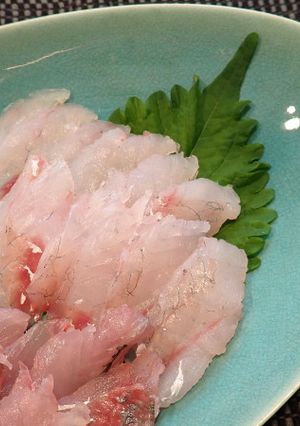 ワニゴチの刺身-レシピのメイン写真