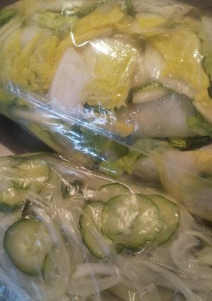 塩もみ野菜-レシピのメイン写真